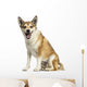 Norwegian Lundehund Panting, Sitting, Isolated on White Wall Decal
