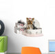 Yorkshire Terrier in a Clothes Box, Isolated on White Wall Decal