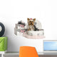 Yorkshire Terrier in a Clothes Box, Isolated on White Wall Decal