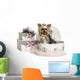 Yorkshire Terrier in a Clothes Box, Isolated on White Wall Decal