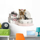 Yorkshire Terrier in a Clothes Box, Isolated on White Wall Decal