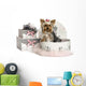 Yorkshire Terrier in a Clothes Box, Isolated on White Wall Decal