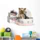 Yorkshire Terrier in a Clothes Box, Isolated on White Wall Decal