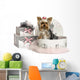 Yorkshire Terrier in a Clothes Box, Isolated on White Wall Decal