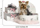 Yorkshire Terrier in a Clothes Box, Isolated on White Wall Decal
