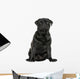 Pug sitting, isolated on white Wall Decal