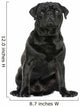 Pug sitting, isolated on white Wall Decal