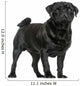 Side View of a Pug Standing, Isolated on White 