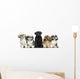 Front view of Dogs in a row, sitting, isolated on white Wall Decal