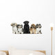 Front view of Dogs in a row, sitting, isolated on white Wall Decal