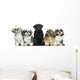 Front view of Dogs in a row, sitting, isolated on white Wall Decal