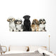 Front view of Dogs in a row, sitting, isolated on white Wall Decal