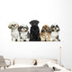 Front view of Dogs in a row, sitting, isolated on white Wall Decal