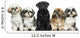 Front view of Dogs in a row, sitting, isolated on white Wall Decal