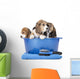 beagle puppies in a basin on a white background in studio 