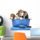 beagle puppies in a basin on a white background in studio 