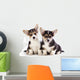 Welsh Corgi Puppy Wall Decal