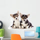 Welsh Corgi Puppy Wall Decal