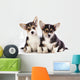 Welsh Corgi Puppy Wall Decal
