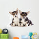 Welsh Corgi Puppy Wall Decal