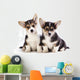 Welsh Corgi Puppy Wall Decal