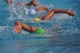 swimmers Wall Mural