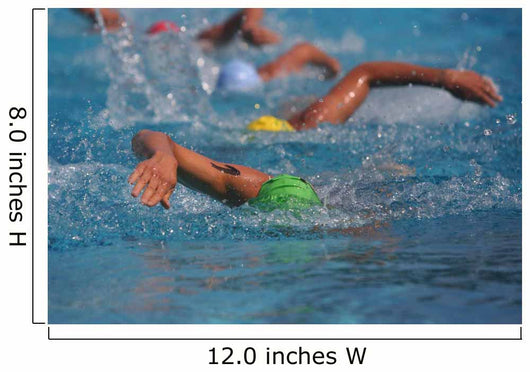 swimmers Wall Mural