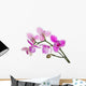 three petals orchids on branch Wall Decal