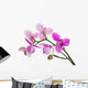 three petals orchids on branch Wall Decal