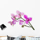 three petals orchids on branch Wall Decal