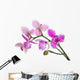 three petals orchids on branch Wall Decal