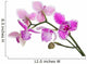 three petals orchids on branch Wall Decal
