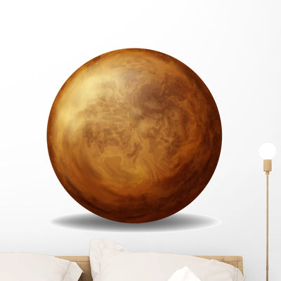 Venus shown on a wall
