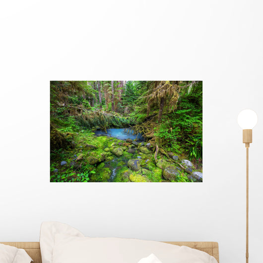 Green forest 