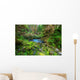 Green forest 