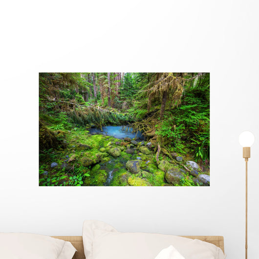 Green forest 