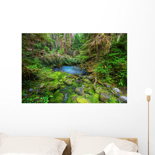 Green forest 