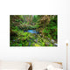 Green forest 