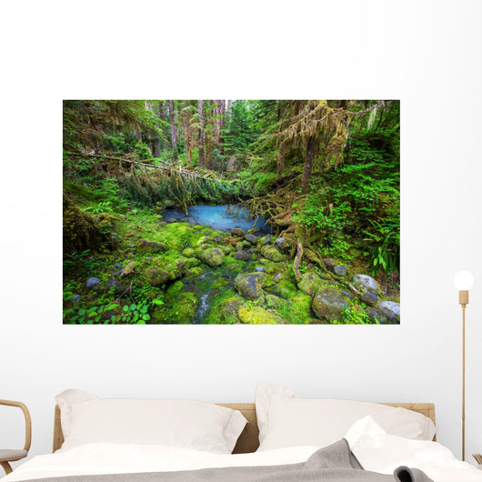 Green forest 