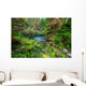 Green forest 