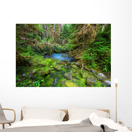 Green forest 