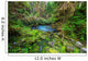 Green forest 
