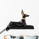 Anubis Wall Decal