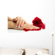 Beautiful woman hands with rose, isolated on white 