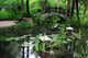 classic chinese garden, China Wall Mural