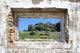 spanish countryside seen through hole in wall of ruins Wall Mural