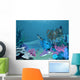 Underwater landscape 