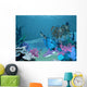 Underwater landscape 