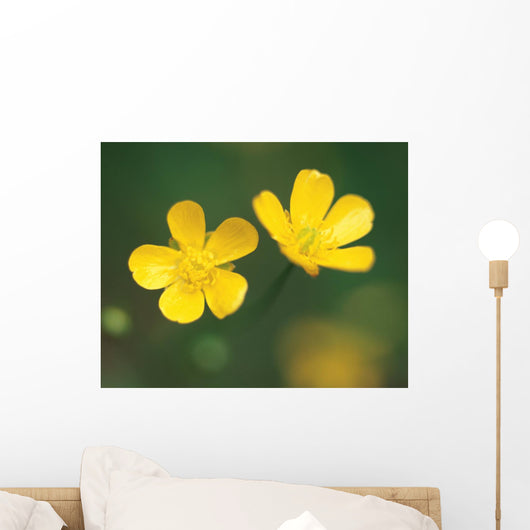Two Flower Wall Mural