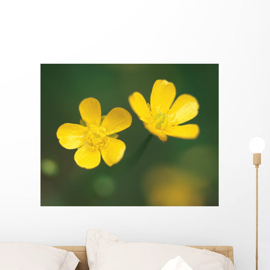 Two Flower Wall Mural
